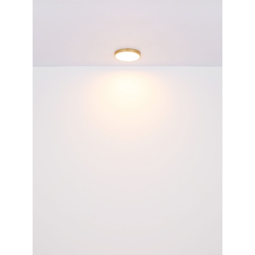 Globo - LED Ceiling light LED/30W/230V d. 45 cm