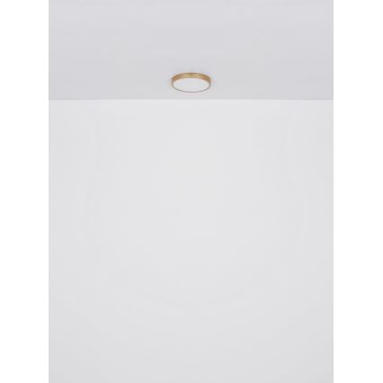 Globo - LED Ceiling light LED/30W/230V d. 45 cm