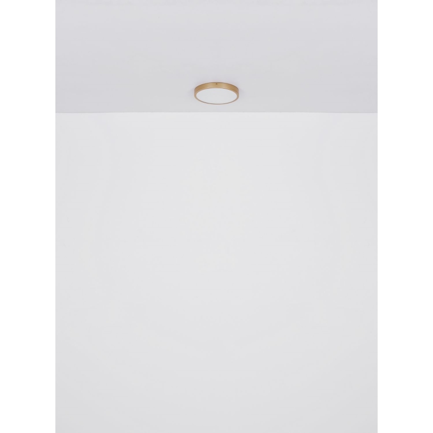 Globo - LED Ceiling light LED/30W/230V d. 45 cm
