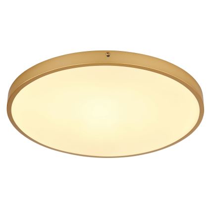 Globo - LED Ceiling light LED/30W/230V d. 45 cm