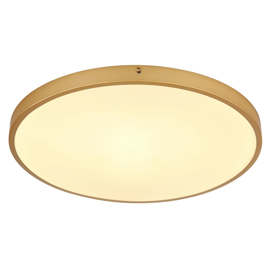 Globo - LED Ceiling light LED/30W/230V d. 45 cm