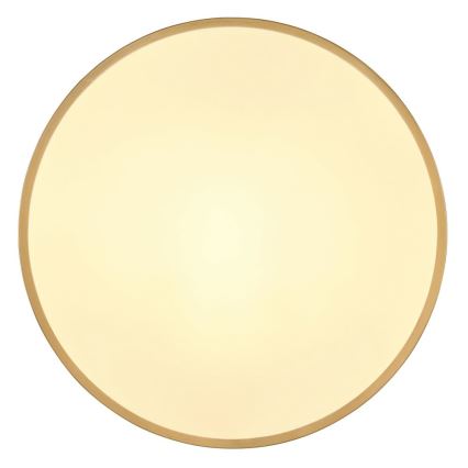 Globo - LED Ceiling light LED/30W/230V d. 45 cm