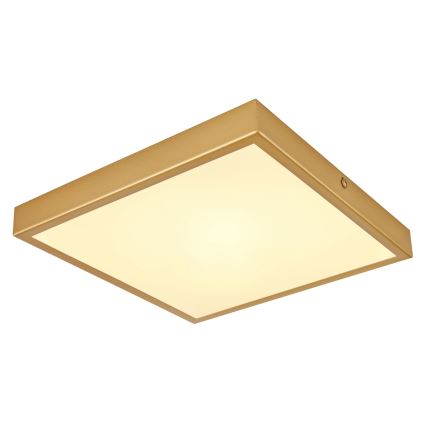 Globo - LED Ceiling light LED/15W/230V 25x25 cm