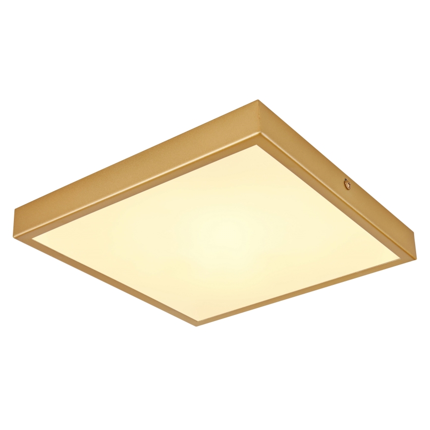 Globo - LED Ceiling light LED/15W/230V 25x25 cm