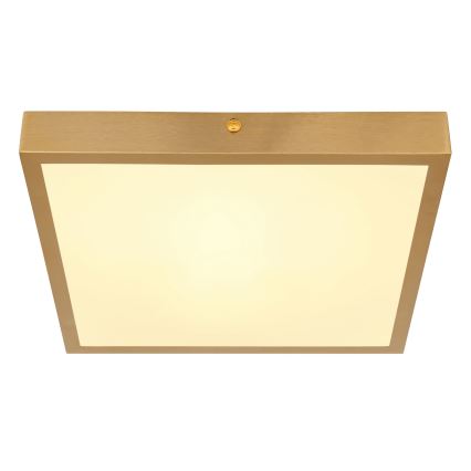 Globo - LED Ceiling light LED/15W/230V 25x25 cm