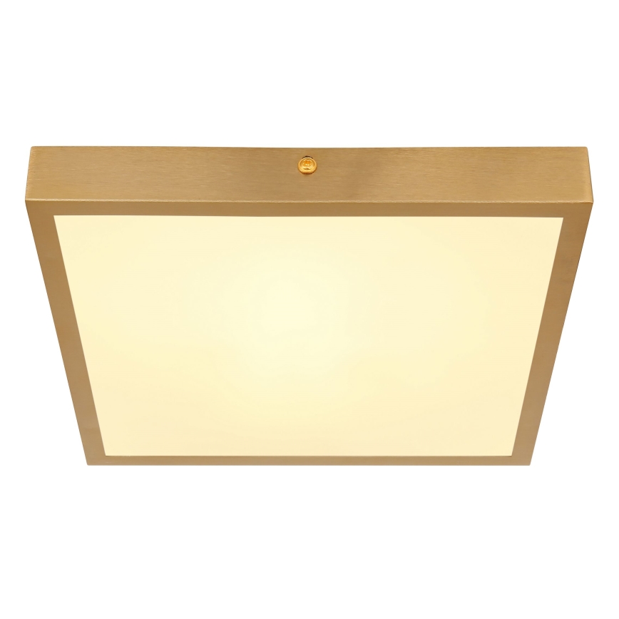 Globo - LED Ceiling light LED/15W/230V 25x25 cm