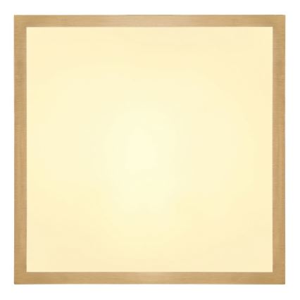 Globo - LED Ceiling light LED/15W/230V 25x25 cm