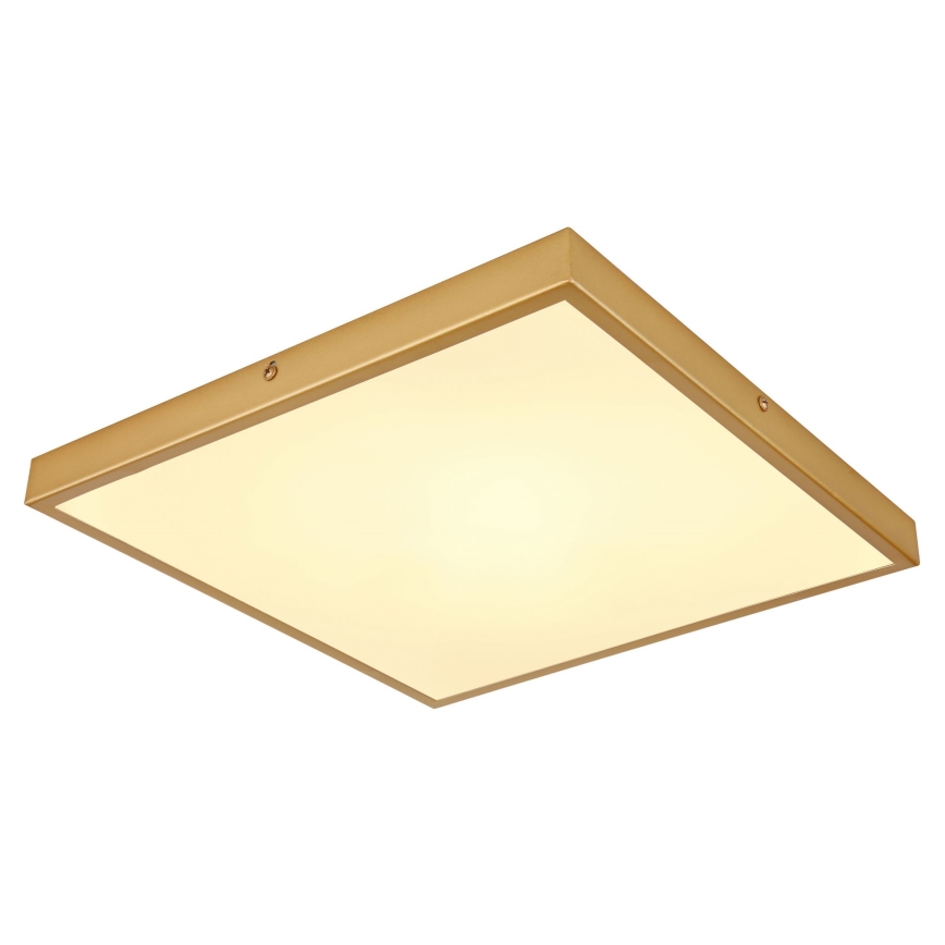 Globo - LED Ceiling light LED/22W/230V 35x35 cm