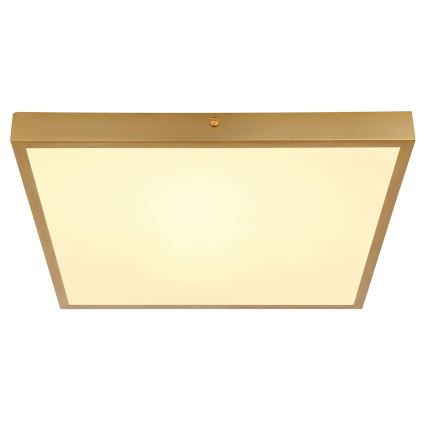 Globo - LED Ceiling light LED/22W/230V 35x35 cm