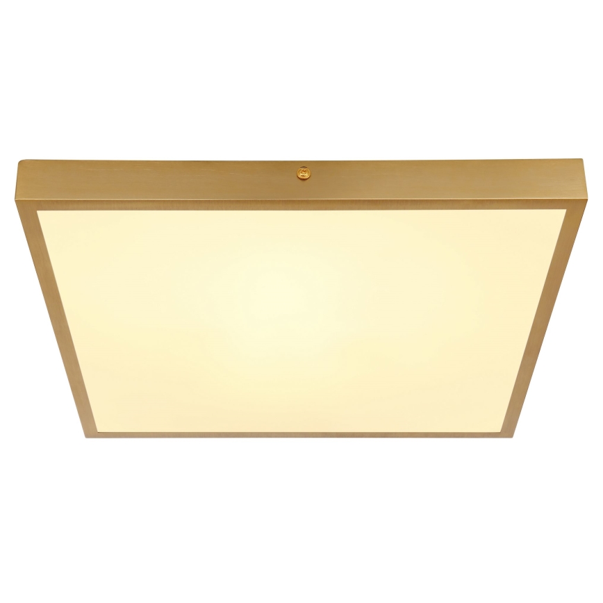 Globo - LED Ceiling light LED/22W/230V 35x35 cm
