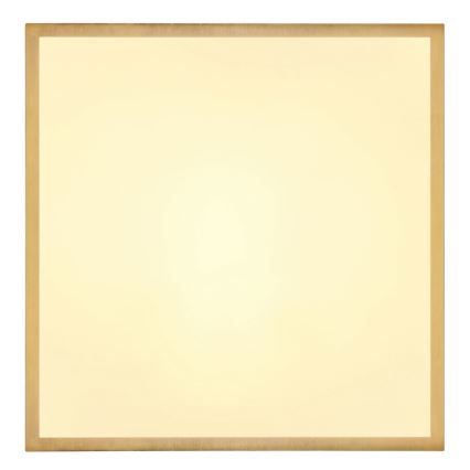Globo - LED Ceiling light LED/22W/230V 35x35 cm