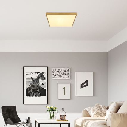 Globo - LED Ceiling light LED/30W/230V 45x45 cm
