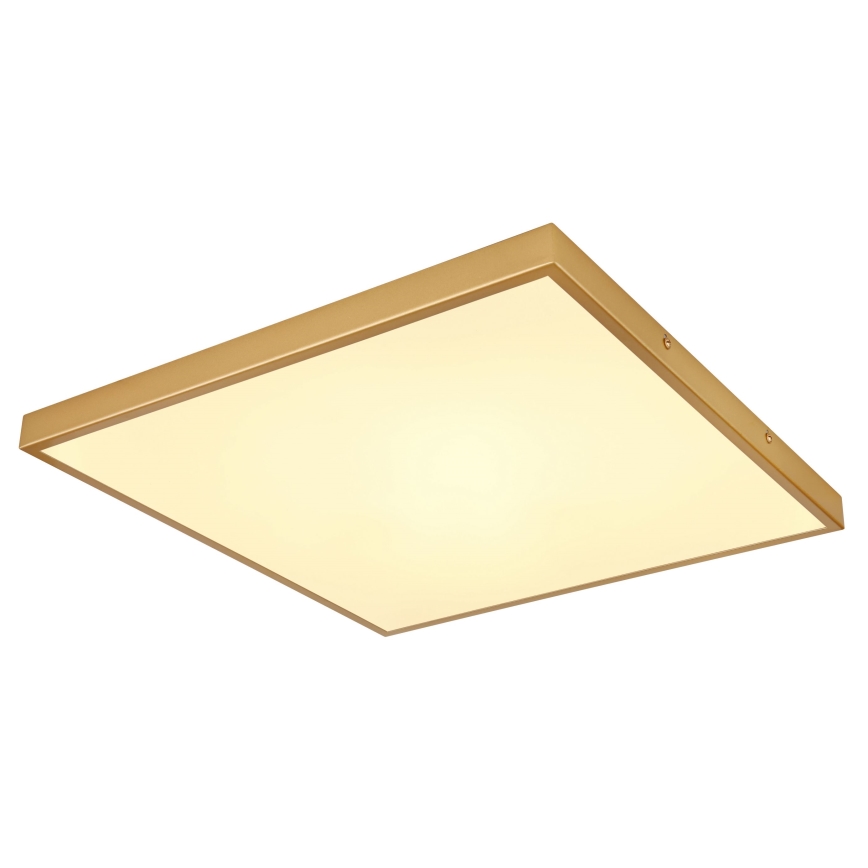 Globo - LED Ceiling light LED/30W/230V 45x45 cm