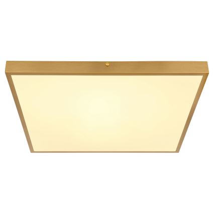 Globo - LED Ceiling light LED/30W/230V 45x45 cm