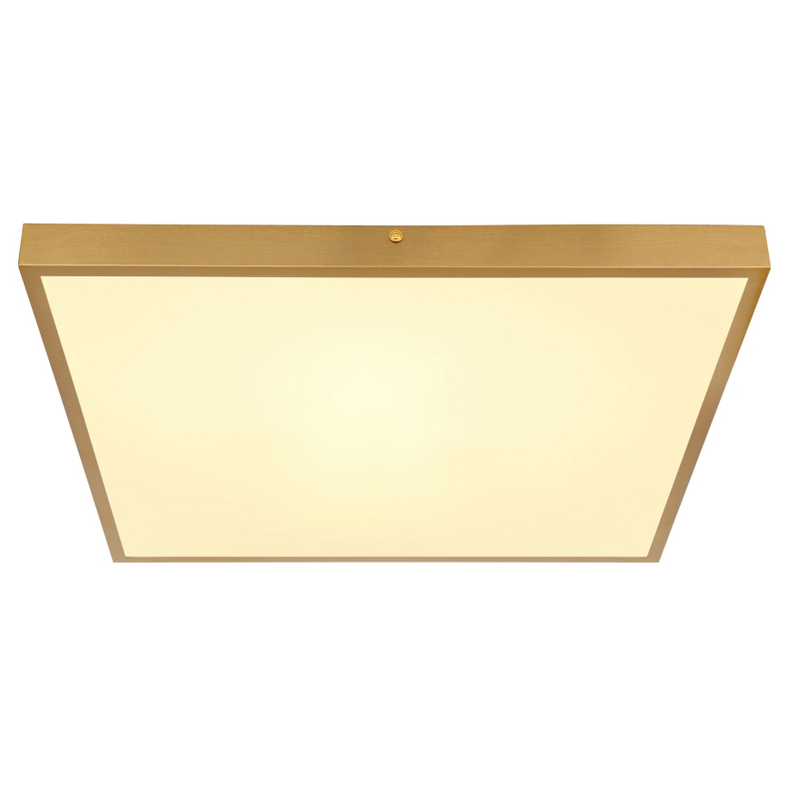 Globo - LED Ceiling light LED/30W/230V 45x45 cm