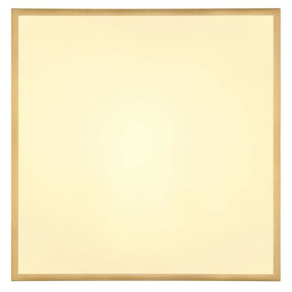 Globo - LED Ceiling light LED/30W/230V 45x45 cm