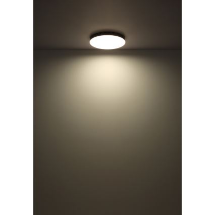 Globo - LED Ceiling light LED/24W/230V 3000K/4000K/6500K d. 30 cm white