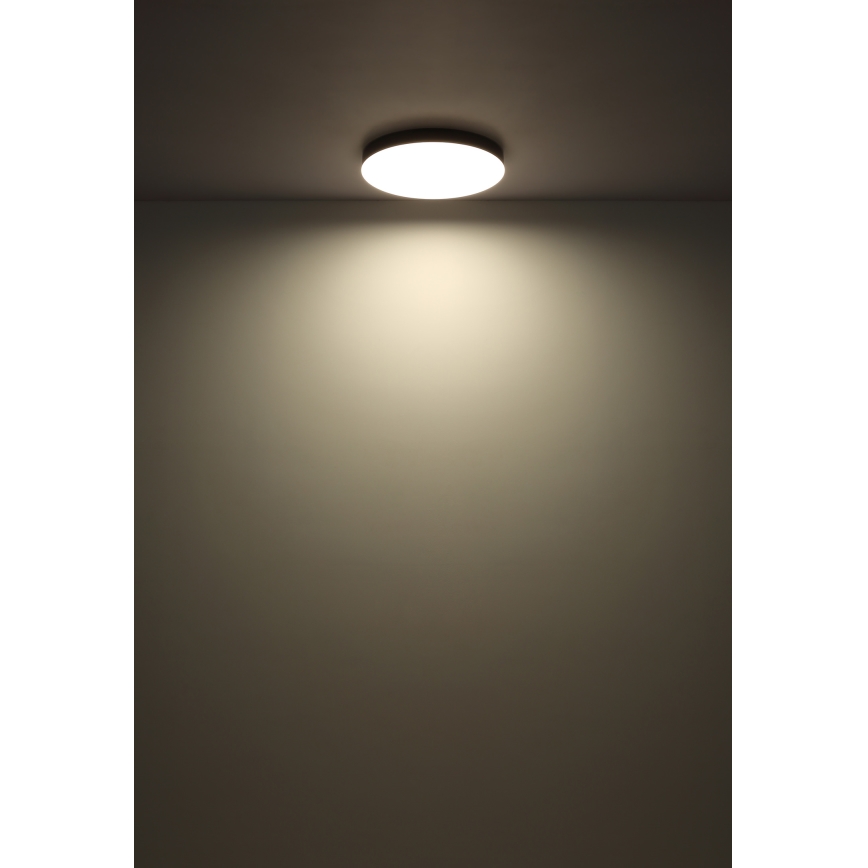 Globo - LED Ceiling light LED/24W/230V 3000K/4000K/6500K d. 30 cm white