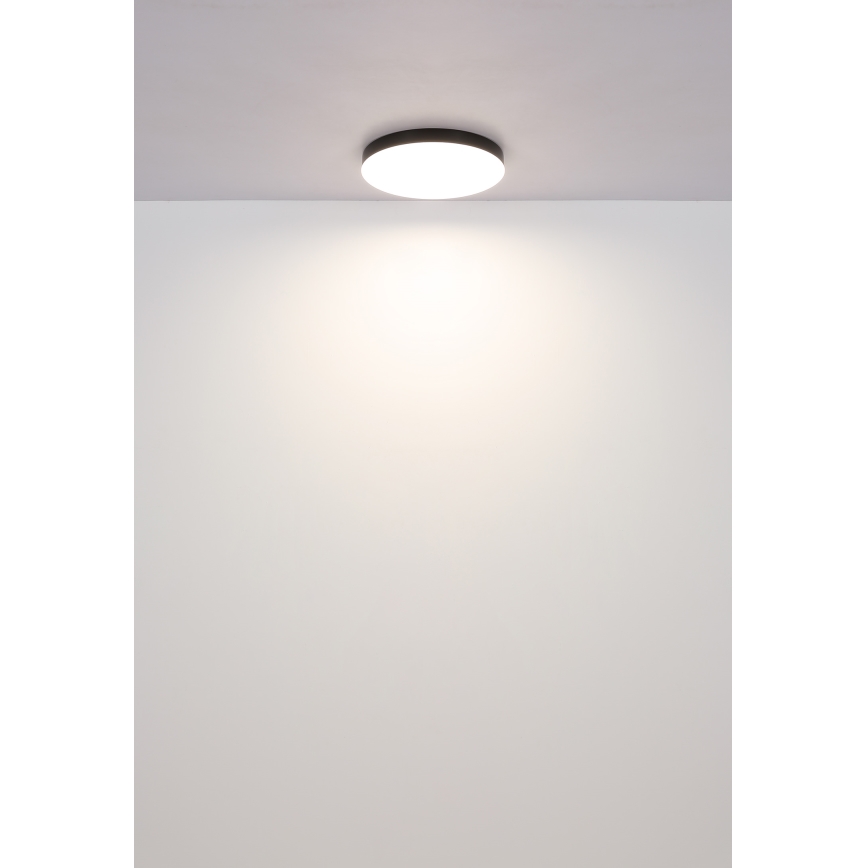 Globo - LED Ceiling light LED/24W/230V 3000K/4000K/6500K d. 30 cm white