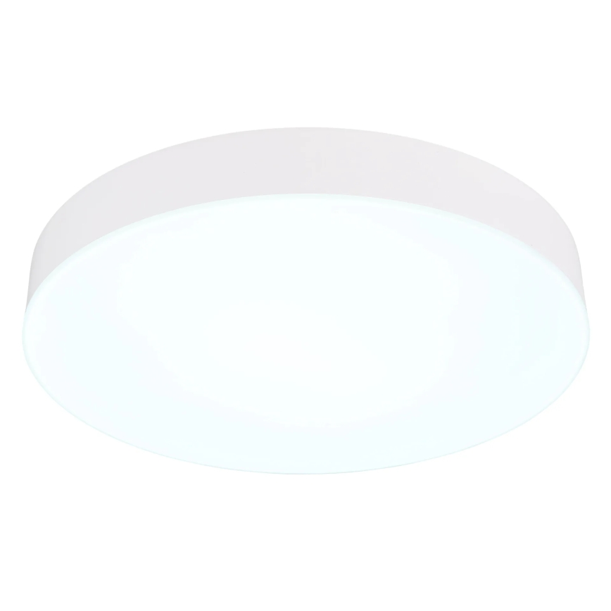 Globo - LED Ceiling light LED/24W/230V 3000K/4000K/6500K d. 30 cm white
