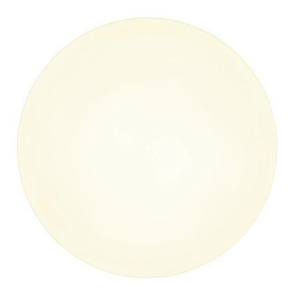 Globo - LED Ceiling light LED/24W/230V 3000K/4000K/6500K d. 30 cm white