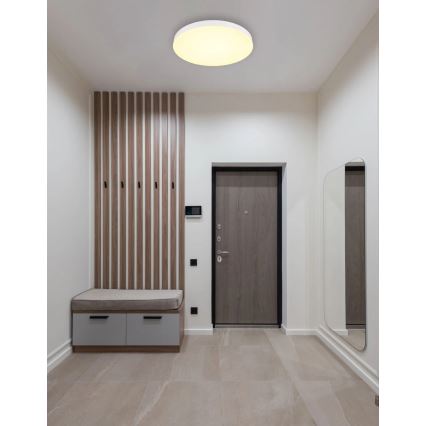 Globo - LED Ceiling light LED/50W/230V 3000K/4000K/6500K d. 50 cm white