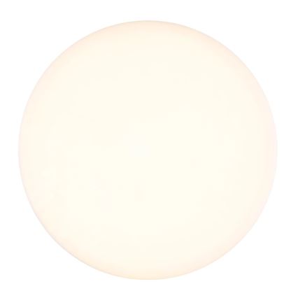Globo - LED Ceiling light LED/8W/230V 4000K d. 12 cm white