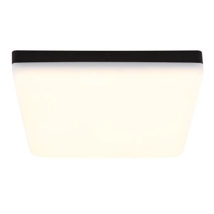 Globo - LED Ceiling light LED/12W/230V 4000K 22x22 cm black