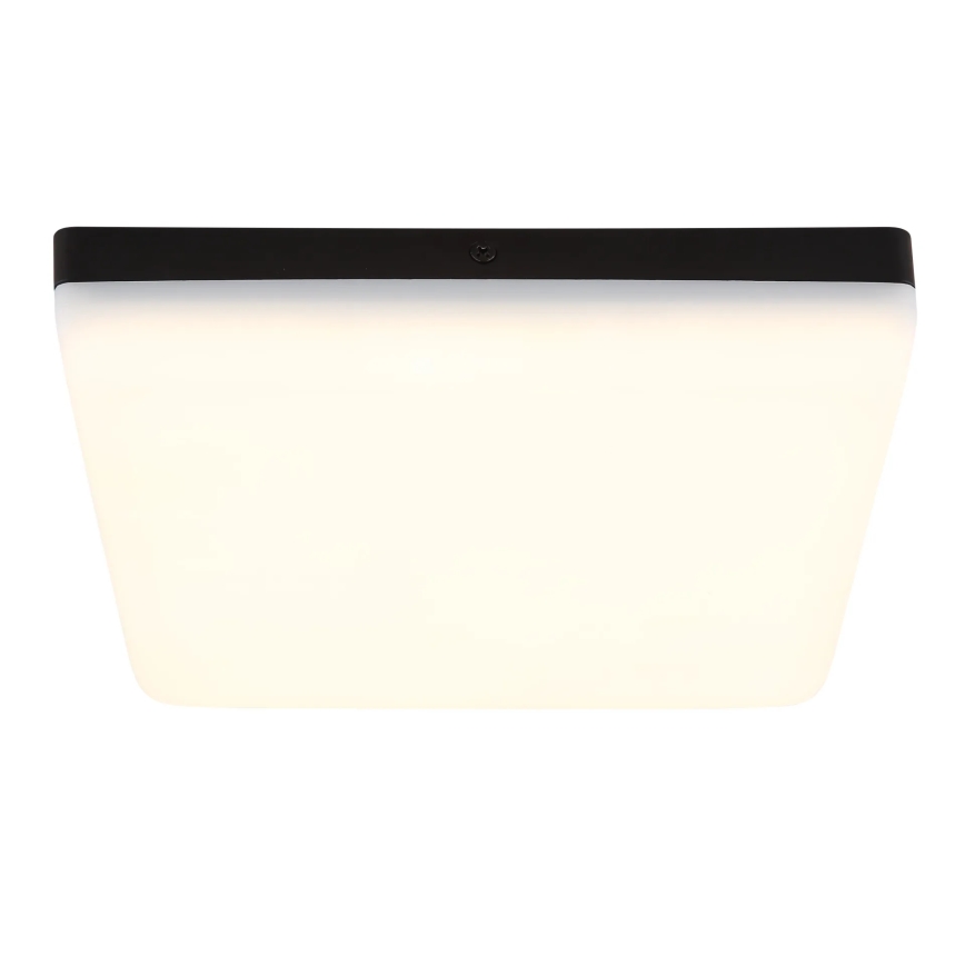 Globo - LED Ceiling light LED/12W/230V 4000K 22x22 cm black