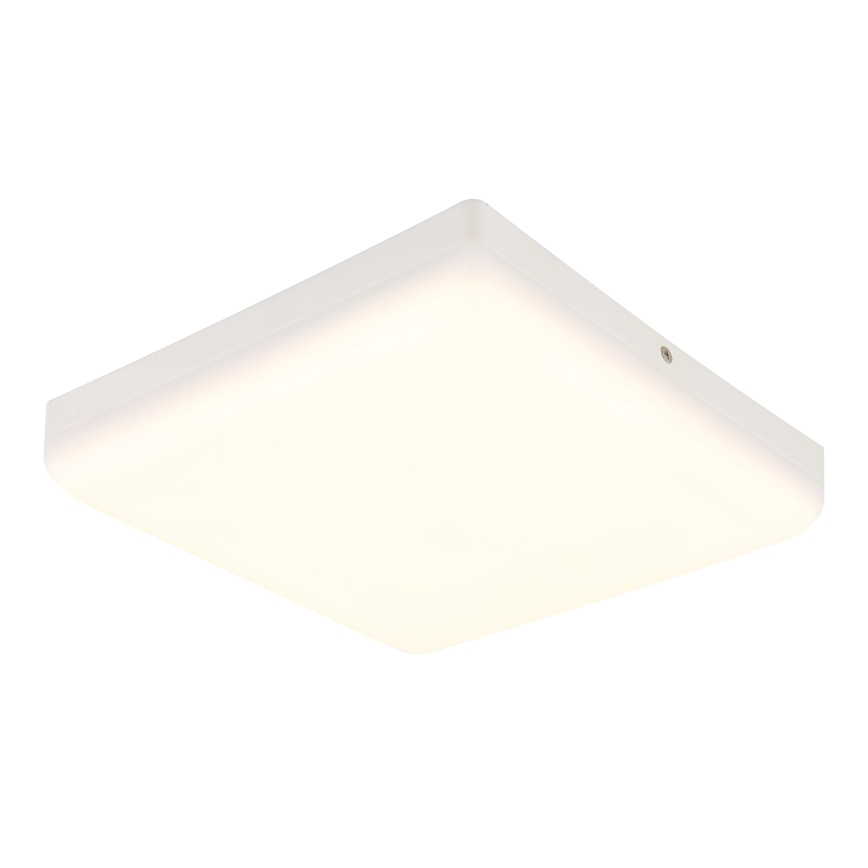 Globo - LED Ceiling light LED/12W/230V 4000K 22x22 cm white