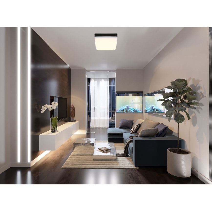 Globo - LED Ceiling light LED/8W/230V 4000K 12x12 cm black