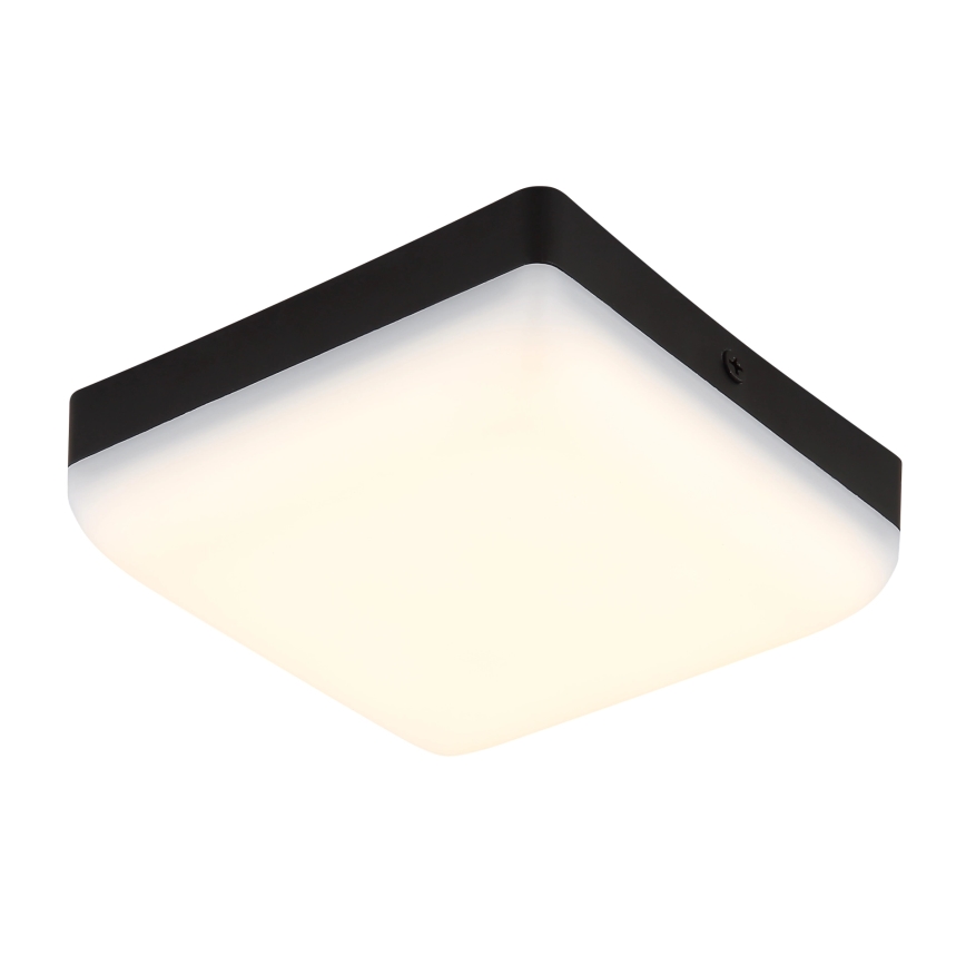 Globo - LED Ceiling light LED/8W/230V 4000K 12x12 cm black