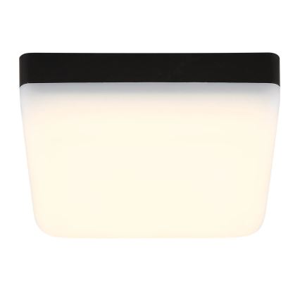 Globo - LED Ceiling light LED/8W/230V 4000K 12x12 cm black