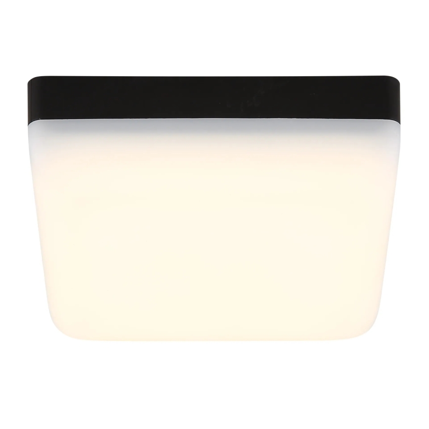 Globo - LED Ceiling light LED/8W/230V 4000K 12x12 cm black