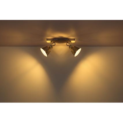 Globo - Spotlight 2xE27/60W/230V fir