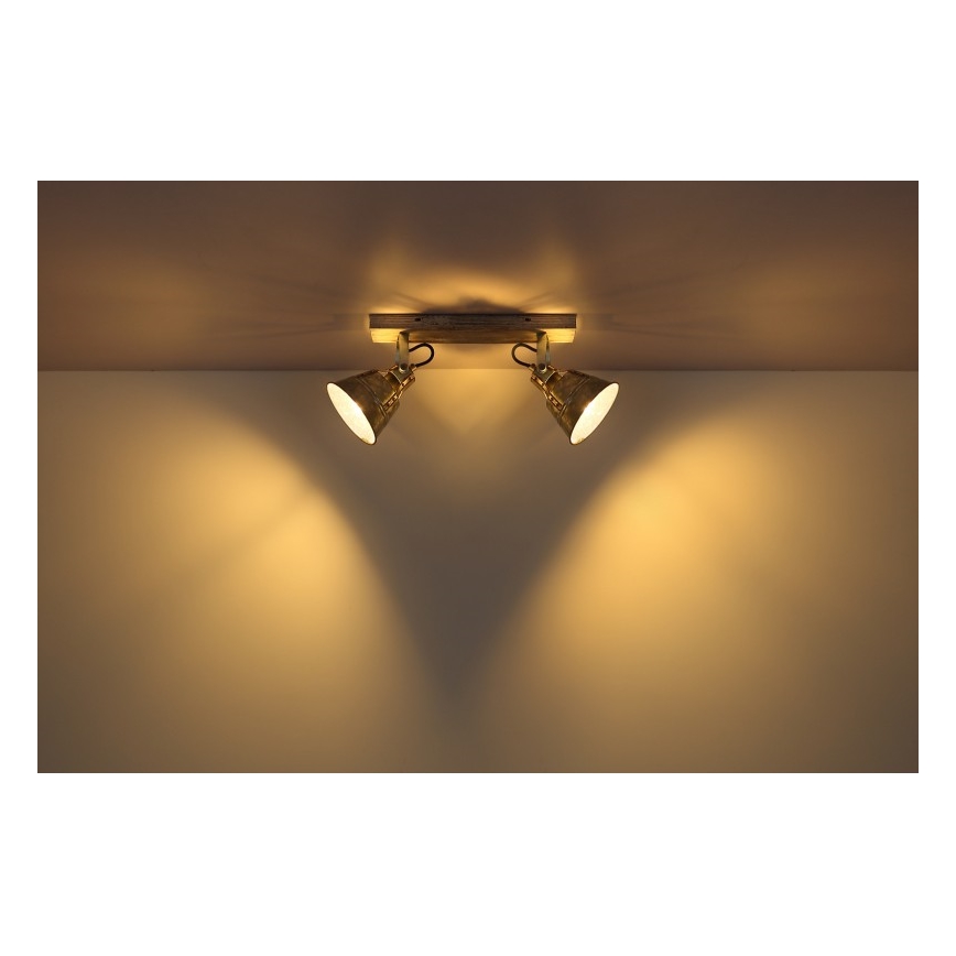 Globo - Spotlight 2xE27/60W/230V fir