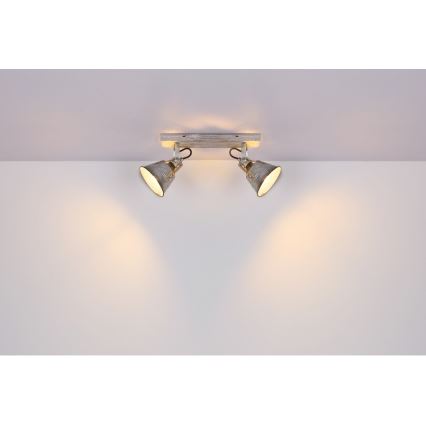 Globo - Spotlight 2xE27/60W/230V fir
