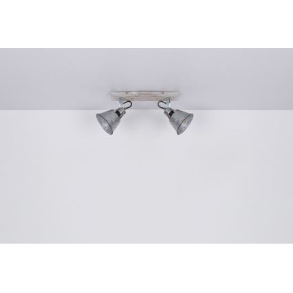 Globo - Spotlight 2xE27/60W/230V fir