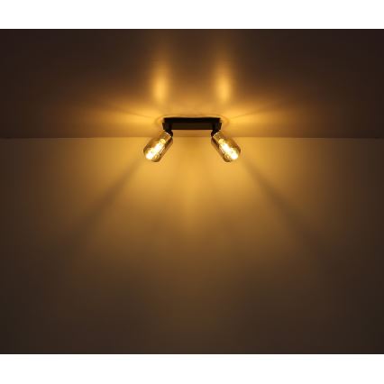 Globo - Spotlight 2xE27/15W/230V black