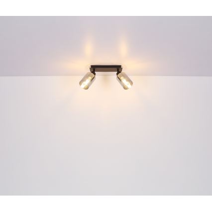 Globo - Spotlight 2xE27/15W/230V black