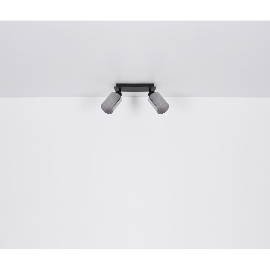 Globo - Spotlight 2xE27/15W/230V black