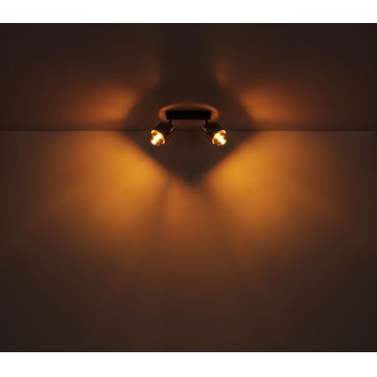 Globo - Spotlight 2xE27/40W/230V black/brass