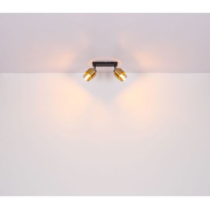Globo - Spotlight 2xE27/40W/230V black/brass