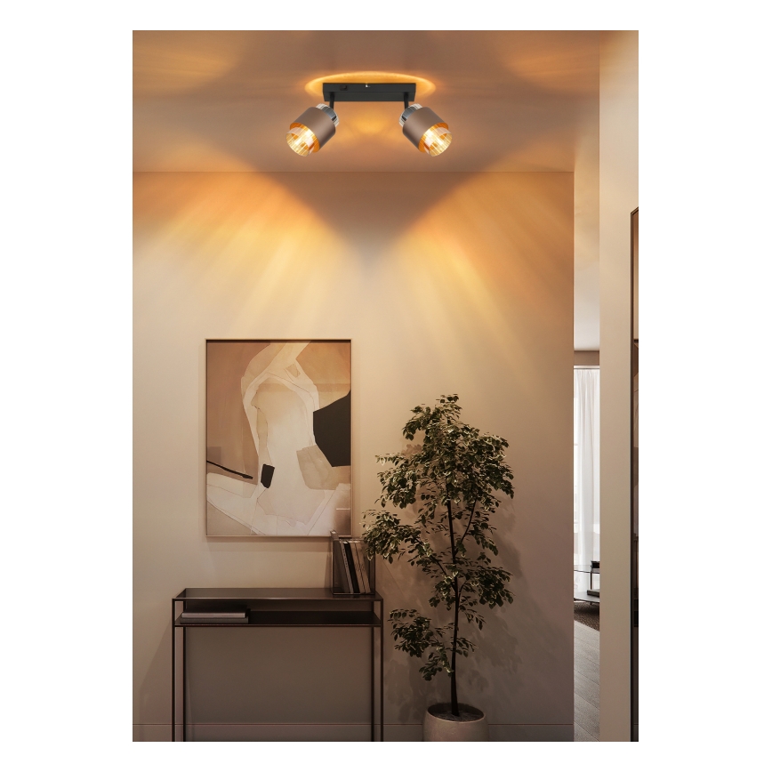 Globo - 2-Light Spotlight 2xE27/40W/230V Black/Bronze