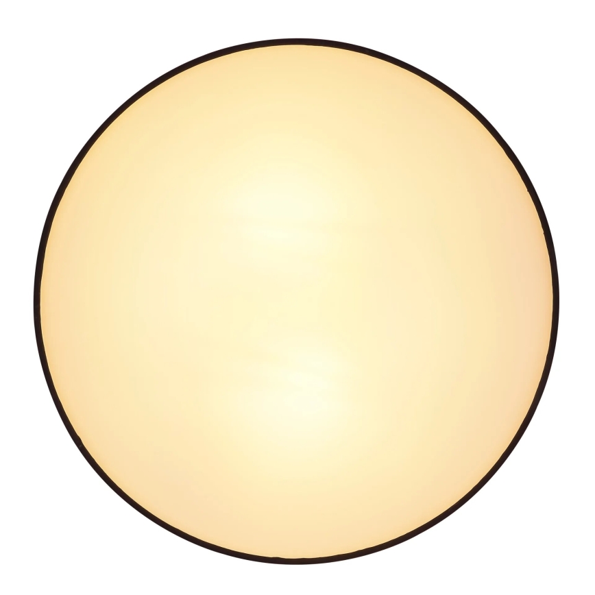 Globo 15582D - Ceiling light INGEBORG 2xE27/15W/230V