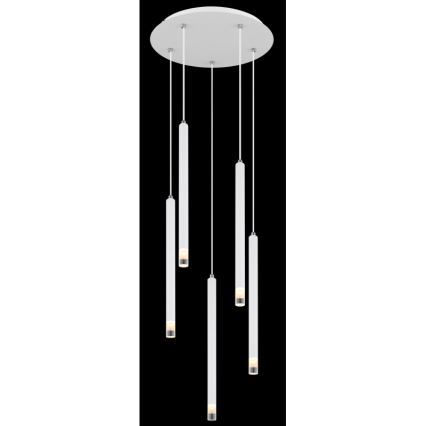 Globo - Chandelier on a string 5xG9/4W/230V d. 34 cm