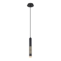 Globo 15630H - PENNY LED cable pendant, 12W/230V, 3000K, Black