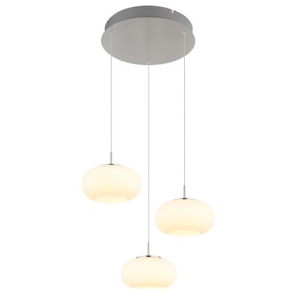 Globo - LED Chandelier on a string 3xLED/6W/230V
