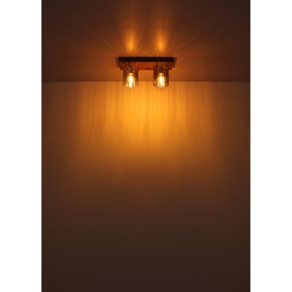 Globo - Ceiling light 2xE27/40W/230V