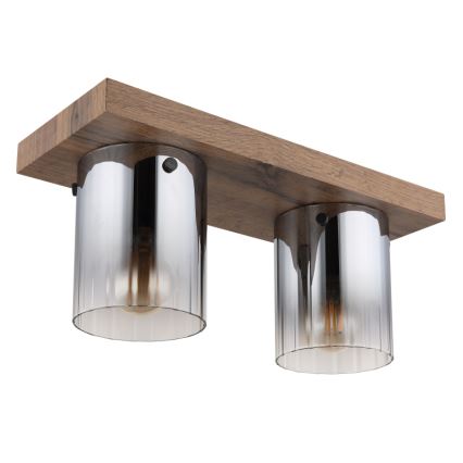 Globo - Ceiling light 2xE27/40W/230V